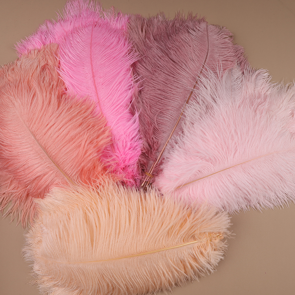 10pcs Ostrich Feathers for Cra - Feather Trim Marabou recension och pris