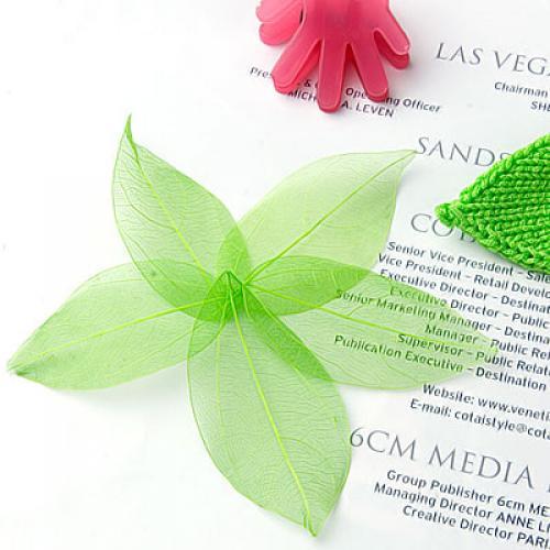 Natural Catbrier Skeleton Leav - Craft Embellishment recension och pris
