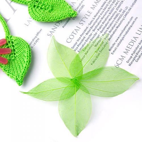 Natural Catbrier Skeleton Leav - Craft Embellishment recension och pris