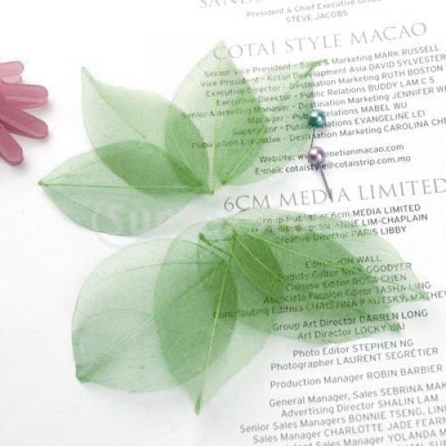 Natural Catbrier Skeleton Leav - Craft Embellishment recension och pris